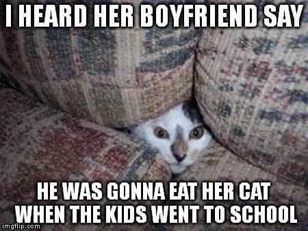 Cat Meme 34