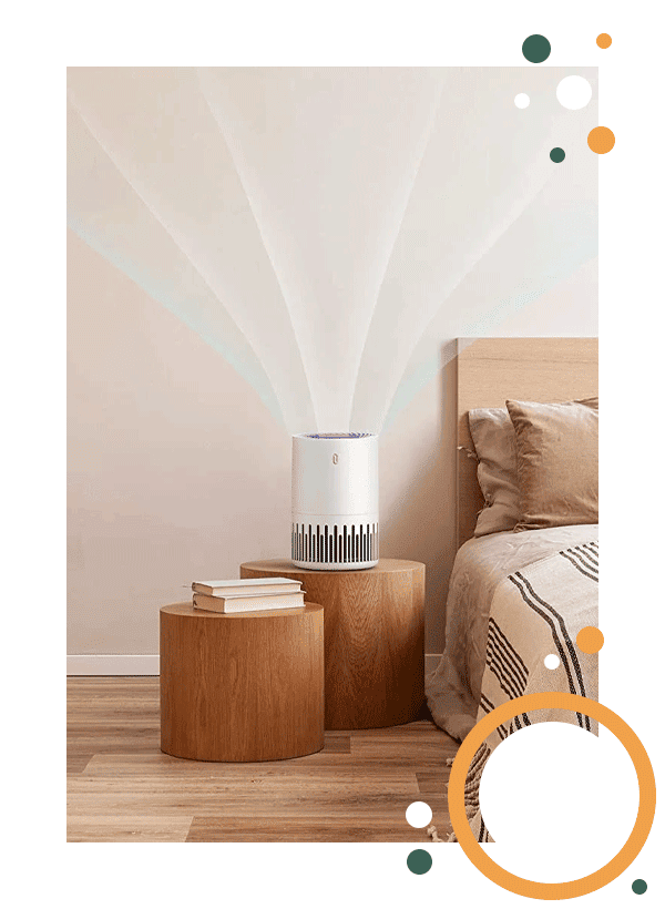 Air Purifier Rooms
