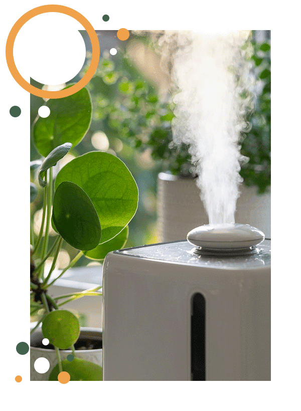 Air Purifiers Top Brands