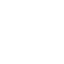 Icon Budget
