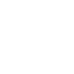 Icon Key Features