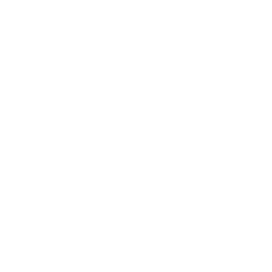 Icon Review