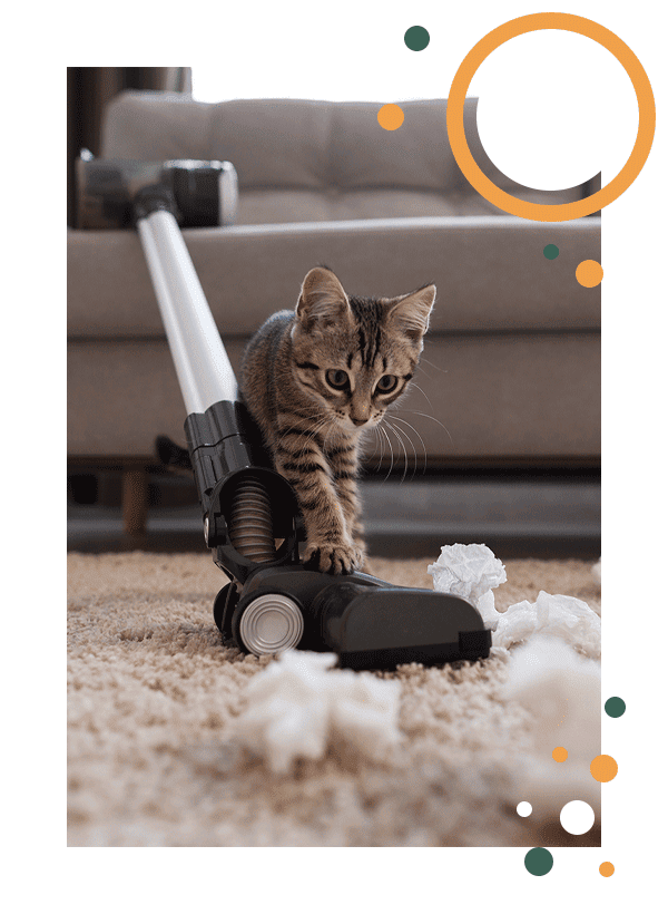 Vacuum Cleaner Functions