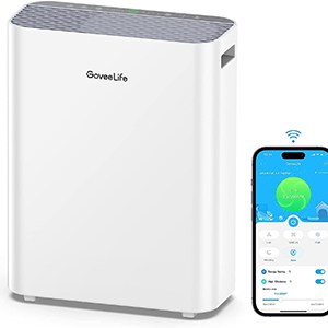 Govee Life Smart Air
