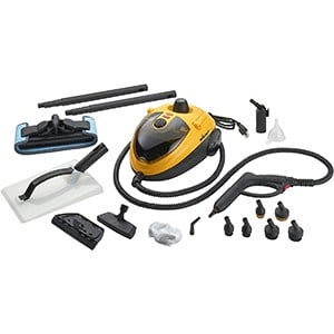 Dupray Neat Steam Cleaner