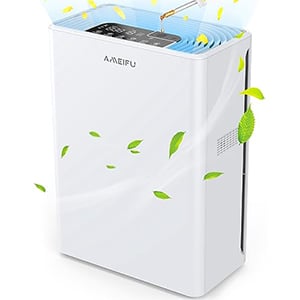 Ameifu Air Purifier